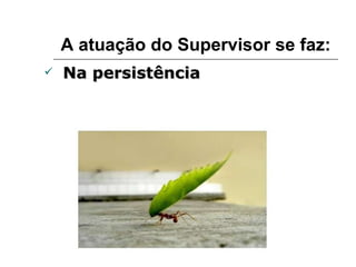 A atuação do Supervisor se faz: Na persistência 