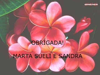 OBRIGADA! MARTA SUELI E SANDRA 