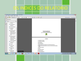 OS INDICES DO RELATORIO 