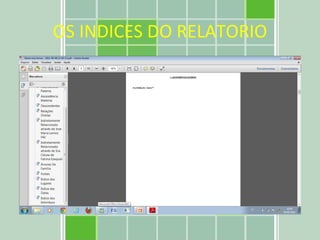 OS INDICES DO RELATORIO 