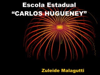Escola Estadual
“CARLOS HUGUENEY”




       Zuleide Malagutti
 