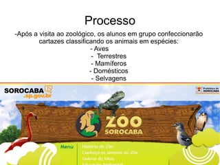 Processo -Após a visita ao zoológico, os alunos em grupo confeccionarão cartazes classificando os animais em espécies: - Aves  -  Terrestres - Mamíferos - Domésticos - Selvagens 