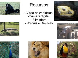 Recursos - Visita ao zoológico. -Câmera digital. - Filmadora. - Jornais e Revistas 