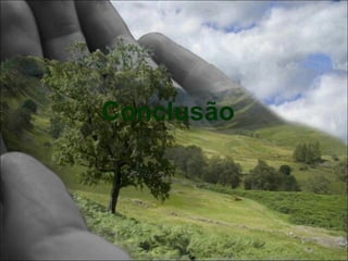 Conclusão
 