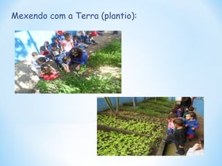Mexendo com a Terra (plantio): 