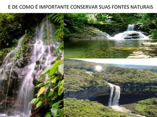 E DE COMO É IMPORTANTE CONSERVAR SUAS FONTES NATURAIS
 