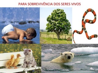 PARA SOBREVIVÊNCIA DOS SERES VIVOS
 