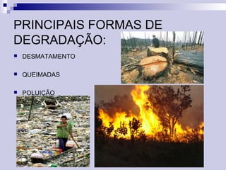 PRINCIPAIS FORMAS DE
DEGRADAÇÃO:
 DESMATAMENTO
 QUEIMADAS
 POLUIÇÃO
 