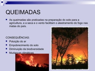 QUEIMADAS
 As queimadas são praticadas na preparação do solo para a
agricultura, e a seca e o vento facilitam o alastramento do fogo nas
matas do país.
CONSEQUÊNCIAS:
 Poluição do ar
 Empobrecimento do solo
 Diminuição da biodiversidade
 Mudanças climáticas
 