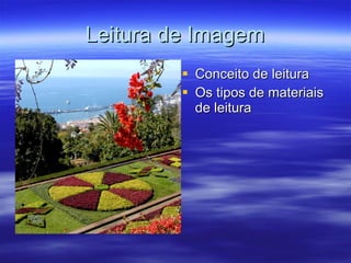 Leitura de Imagem Conceito de leitura Os tipos de materiais de leitura 