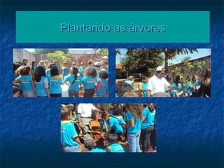 Plantando as árvores
 