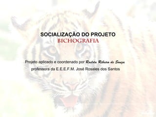 SOCIALIZAÇÃO DO PROJETO
             BICHOGRAFIA


Projeto aplicado e coordenado por Railda Ribeiro de Souza
   professora da E.E.E.F.M. José Rosales dos Santos
 