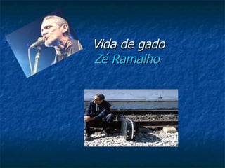 Vida de gado Zé Ramalho   