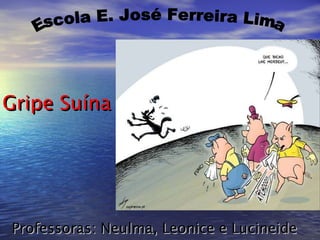 Professoras: Neulma, Leonice e Lucineide Gripe Suína Escola E. José Ferreira Lima 