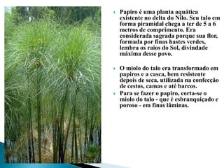 Papiro é uma planta aquática existente no delta do Nilo. Seu talo em forma piramidal chega a ter de 5 a 6 metros de comprimento. Era considerada sagrada porque sua flor, formada por finas hastes verdes, lembra os raios do Sol, divindade máxima desse povo. O miolo do talo era transformado em papiros e a casca, bem resistente depois de seca, utilizada na confecção de cestos, camas e até barcos.Para se fazer o papiro, corta-se o miolo do talo - que é esbranquiçado e poroso - em finas lâminas. 
