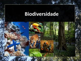 Biodiversidade 