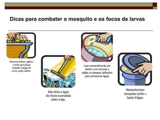 Dicas para combater o mosquito e os focos de larvas   
