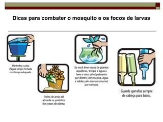 Dicas para combater o mosquito e os focos de larvas  