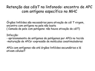 Retenção das célsT no linfonodo: encontro de APC
com antígeno específico no MHC
Órgãos linfóides são necessários para ativação de cél T virgem,
encontro com antígeno na pele não basta
( Camada de pele com patógeno: não houve ativação de célT)
Infecção:
- aprisionamento de antígenos de patógenos por APCs no tecido
-maturação de APCs= expressão de moléculas coestimuladoras
APCs com antígenos vão até órgãos linfóides secundários e lá
ativam célulasT
 
