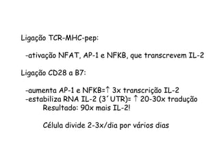 Ligação TCR-MHC-pep:
-ativação NFAT, AP-1 e NFKB, que transcrevem IL-2
Ligação CD28 a B7:
-aumenta AP-1 e NFKB= 3x transcrição IL-2
-estabiliza RNA IL-2 (3´UTR)=  20-30x tradução
Resultado: 90x mais IL-2!
Célula divide 2-3x/dia por vários dias
 