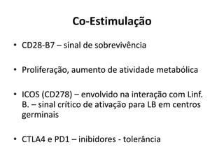 Co-Estimulação
• CD28-B7 – sinal de sobrevivência
• Proliferação, aumento de atividade metabólica
• ICOS (CD278) – envolvido na interação com Linf.
B. – sinal crítico de ativação para LB em centros
germinais

• CTLA4 e PD1 – inibidores - tolerância

 
