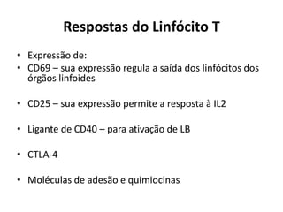 Respostas do Linfócito T
• Expressão de:
• CD69 – sua expressão regula a saída dos linfócitos dos
órgãos linfoides
• CD25 – sua expressão permite a resposta à IL2
• Ligante de CD40 – para ativação de LB
• CTLA-4
• Moléculas de adesão e quimiocinas

 
