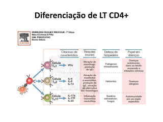Diferenciação de LT CD4+

 