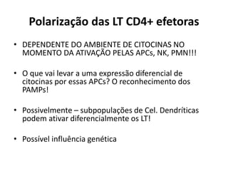 Polarização das LT CD4+ efetoras
• DEPENDENTE DO AMBIENTE DE CITOCINAS NO
MOMENTO DA ATIVAÇÃO PELAS APCs, NK, PMN!!!
• O que vai levar a uma expressão diferencial de
citocinas por essas APCs? O reconhecimento dos
PAMPs!

• Possivelmente – subpopulações de Cel. Dendríticas
podem ativar diferencialmente os LT!
• Possível influência genética

 