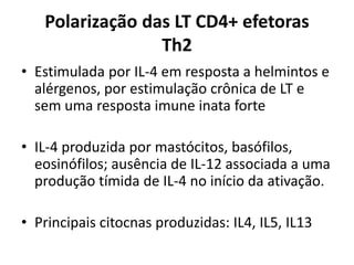 Polarização das LT CD4+ efetoras
Th2
• Estimulada por IL-4 em resposta a helmintos e
alérgenos, por estimulação crônica de LT e
sem uma resposta imune inata forte
• IL-4 produzida por mastócitos, basófilos,
eosinófilos; ausência de IL-12 associada a uma
produção tímida de IL-4 no início da ativação.

• Principais citocnas produzidas: IL4, IL5, IL13

 