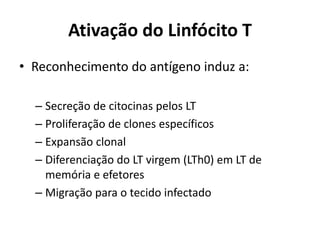 Ativação do Linfócito T
• Reconhecimento do antígeno induz a:
– Secreção de citocinas pelos LT
– Proliferação de clones específicos
– Expansão clonal
– Diferenciação do LT virgem (LTh0) em LT de
memória e efetores
– Migração para o tecido infectado

 