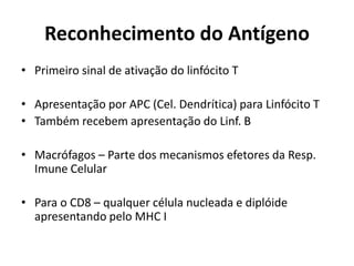 Reconhecimento do Antígeno
• Primeiro sinal de ativação do linfócito T
• Apresentação por APC (Cel. Dendrítica) para Linfócito T
• Também recebem apresentação do Linf. B
• Macrófagos – Parte dos mecanismos efetores da Resp.
Imune Celular
• Para o CD8 – qualquer célula nucleada e diplóide
apresentando pelo MHC I

 