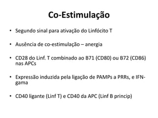 Co-Estimulação
• Segundo sinal para ativação do Linfócito T
• Ausência de co-estimulação – anergia
• CD28 do Linf. T combinado ao B71 (CD80) ou B72 (CD86)
nas APCs

• Expressão induzida pela ligação de PAMPs a PRRs, e IFNgama
• CD40 ligante (Linf T) e CD40 da APC (Linf B princip)

 