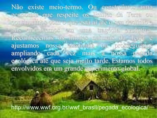 Não existe meio-termo. Ou construímos uma economia que respeite os limites da Terra ou continuamos com o que está aí até o seu declínio e nos envolvemos em uma tragédia evolutiva. Reconhecemos os limites naturais da Terra e ajustamos nossa economia ou prosseguimos ampliando cada vez mais a nossa pegada ecológica até que seja muito tarde. Estamos todos envolvidos em um grande experimento global.  http://www.wwf.org.br/wwf_brasil/pegada_ecologica/ 