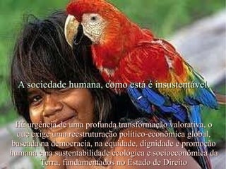 A sociedade humana, como está é insustentável. Há urgência de uma profunda transformação valorativa, o que exige uma reestruturação político-econômica global, baseada na democracia, na equidade, dignidade e promoção humana e na sustentabilidade ecológica e socioeconômica da Terra, fundamentados no Estado de Direito 