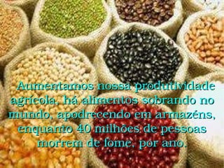    Aumentamos nossa produtividade agrícola, há alimentos sobrando no mundo, apodrecendo em armazéns, enquanto 40 milhões de pessoas morrem de fome, por ano. 