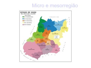 Micro e mesorregião 