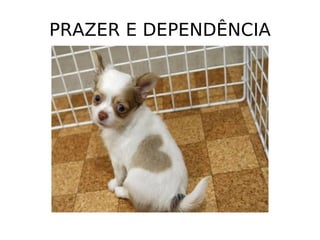 PRAZER E DEPENDÊNCIA 