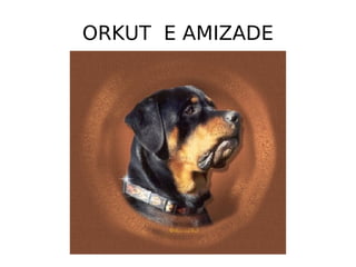ORKUT  E AMIZADE 