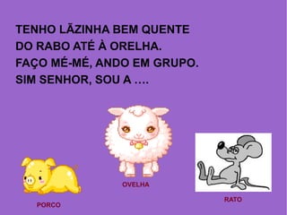 TENHO LÃZINHA BEM QUENTE
DO RABO ATÉ À ORELHA.
FAÇO MÉ-MÉ, ANDO EM GRUPO.
SIM SENHOR, SOU A ….
OVELHA
PORCO
RATO
 