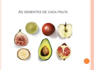 AS SEMENTES DE CADA FRUTA 
 
