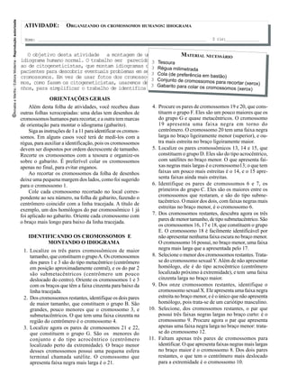 ©Amabis e Martho / Editora Moderna - Reprodução autorizada

                                                               ATIVIDADE:           ORGANIZANDO OS CROMOSSOMOS HUMANOS: IDIOGRAMA

                                                               Nome:                                                                                       S rie:


                                                                O objetivo desta atividade a montagem de um                  MATERIAL NECESSÁRIO
                                                             idiograma humano normal. O trabalho ser parecido 3 Tesoura
                                                             ao de citogeneticistas, que montam idiogramas dos Régua
                                                                                                                3        milimetrada
                                                             pacientes para descobrir eventuais problemas em seus Cola
                                                                                                                3      (de preferência em bastão)
                                                             cromossomos. Em vez de usar fotos dos cromosso- 3 Co
                                                             mos, como fazem os citogeneticistas, usaremos dese- njunto de cromossomos para recortar (xerox)
                                                                                                                3 Ga
                                                             nhos, para simplificar o trabalho de identifica o. barito para colar os cromossomos (xerox)
                                                                            ORIENTAÇÕES GERAIS
                                                                 Além desta folha de atividades, você recebeu duas           4. Procure os pares de cromossomos 19 e 20, que cons-
                                                             outras folhas xerocopiadas: uma delas tem desenhos de              tituem o grupo F. Eles são um pouco maiores que os
                                                             cromossomos humanos para recortar, e a outra tem marcas            do grupo G e quase metacêntricos. O cromossomo
                                                             de orientação para montar o idiograma (gabarito).                  19 apresenta uma faixa negra em torno do
                                                                 Siga as instruções de 1 a 11 para identificar os cromos-       centrômero. O cromossomo 20 tem uma faixa negra
                                                             somos. Em alguns casos você terá de medi-los com a                 larga no braço ligeiramente menor (superior), e ou-
                                                             régua, para auxiliar a identificação, pois os cromossomos          tra mais estreita no braço ligeiramente maior.
                                                             devem ser dispostos por ordem decrescente de tamanho.           5. Localize os pares cromossômicos 13, 14 e 15, que
                                                             Recorte os cromossomos com a tesoura e organize-os                 constituem o grupo D. Eles são do tipo acrocêntrico,
                                                             sobre o gabarito. É preferível colar os cromossomos                com satélites no braço menor. O que apresenta fai-
                                                             apenas no final, para evitar enganos.                              xas negras mais largas é o cromossomo13; o que tem
                                                                 Ao recortar os cromossomos da folha de desenhos                faixas um pouco mais estreitas é o 14, e o 15 apre-
                                                             deixe uma pequena margem dos lados, como foi sugerido              senta faixas ainda mais estreitas.
                                                             para o cromossomo 1.                                            6. Identifique os pares de cromossomos 6 e 7, os
                                                                 Cole cada cromossomo recortado no local corres-                primeiros do grupo C. Eles são os maiores entre os
                                                             pondente ao seu número, na folha de gabarito, fazendo o            cromossomos que restaram, e são do tipo subme-
                                                             centrômero coincidir com a linha tracejada. A título de            tacêntrico. O maior dos dois, com faixas negras mais
                                                                                                                                estreitas no braço menor, é o cromossomo 6.
                                                             exemplo, um dos homólogos do par cromossômico 1 já
                                                             foi aplicado no gabarito. Oriente cada cromossomo com           7. Dos cromossomos restantes, descubra agora os três
                                                                                                                                pares de menor tamanho, de tipo submetacêntrico. São
                                                             o braço mais longo para baixo da linha tracejada.
                                                                                                                                os cromossomos 16, 17 e 18, que constituem o grupo
                                                                                                                                E. O cromossomo 18 é facilmente identificável por
                                                                 IDENTIFICANDO OS CROMOSSOMOS E                                 não apresentar nenhuma faixa escura no braço menor.
                                                                       MONTANDO O IDIOGRAMA                                     O cromossomo 16 possui, no braço menor, uma faixa
                                                              1. Localize os três pares cromossômicos de maior                  negra mais larga que a apresentada pelo 17.
                                                                 tamanho, que constituem o grupo A. Os cromossomos           8. Selecione o menor dos cromossomos restantes. Trata-
                                                                 dos pares 1 e 3 são do tipo metacêntrico (centrômero           se do cromossomo sexual Y. Além de não apresentar
                                                                 em posição aproximadamente central), e os do par 2             homólogo, ele é do tipo acrocêntrico (centrômero
                                                                 são submetacêntricos (centrômero um pouco                      localizado próximo à extremidade), e tem uma faixa
                                                                 deslocado do centro). Oriente os cromossomos 1 e 3             cinzenta larga no braço maior.
                                                                 com os braços que têm a faixa cinzenta para baixo da        9. Dos onze cromossomos restantes, identifique o
                                                                 linha tracejada.                                               cromossomo sexual X. Ele apresenta uma faixa negra
                                                              2. Dos cromossomos restantes, identifique os dois pares           estreita no braço menor, e é o único que não apresenta
                                                                 de maior tamanho, que constituem o grupo B. São                homólogo, pois trata-se de um cariótipo masculino.
                                                                 grandes, pouco menores que o cromossomo 3, e               10. Selecione, dos cromossomos restantes, o par que
                                                                 submetacêntricos. O que tem uma faixa cinzenta na              possui três faixas negras largas no braço curto: é o
                                                                 região do centrômero é o cromossomo 4.                         cromossomo 9. Procure agora o par que apresenta
                                                              3. Localize agora os pares de cromossomos 21 e 22,                apenas uma faixa negra larga no braço menor: trata-
                                                                 que constituem o grupo G. São os menores do                    se do cromossomo 12.
                                                                 conjunto e do tipo acrocêntrico (centrômero                11. Faltam apenas três pares de cromossomos para
                                                                 localizado perto da extremidade). O braço menor                identificar. O que apresenta faixas negras mais largas
                                                                 desses cromossomos possui uma pequena esfera                   no braço maior é o cromossomo 8. Dos dois pares
                                                                 terminal chamada satélite. O cromossomo que                    restantes, o que tem o centrômero mais deslocado
                                                                 apresenta faixa negra mais larga é o 21.                       para a extremidade é o cromossomo 10.
 