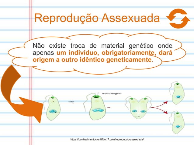 Atividade- Reprodução sexuada e assexuada 8° ano.pdf
