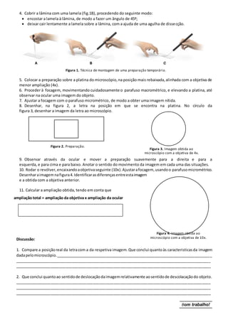 4. Cobrir a lâmina com uma lamela (fig.1B), procedendo do seguinte modo:
 encostar a lamela à lâmina, de modo a fazer um ângulo de 45º;
 deixar cair lentamente a lamela sobre a lâmina, com a ajuda de uma agulha de dissecção.
Figura 1. Técnica de montagem de uma preparação temporária.
5. Colocar a preparação sobre a platina do microscópio,na posição mais rebaixada,alinhada com a objetiva de
menor ampliação (4x).
6. Proceder à focagem, movimentando cuidadosamente o parafuso macrométrico, e elevando a platina, até
observar na ocular uma imagem do objeto.
7. Ajustar a focagem com o parafuso micrométrico, de modo a obter uma imagem nítida.
8. Desenhar, na figura 2, a letra na posição em que se encontra na platina. No círculo da
figura 3, desenhar a imagem da letra ao microscópio.
9. Observar através da ocular e mover a preparação suavemente para a direita e para a
esquerda, e para cima e para baixo. Anotar o sentido do movimento da imagem em cada uma das situações.
10. Rodar o revólver, encaixandoaobjetivaseguinte (10x).Ajustarafocagem,usandoo parafusomicrométrico.
Desenharaimagem nafigura4.Identificarasdiferençasentreestaimagem
e a obtida com a objetiva anterior.
11. Calcular a ampliação obtida, tendo em conta que
ampliação total = ampliação da objetiva x ampliação da ocular
Discussão:
1. Compare a posiçãoreal da letracom a da respetiva imagem.Que conclui quantoàs caracteristicasda imagem
dadapelomicroscópio.__________________________________________________________________________
_____________________________________________________________________________________________
_____________________________________________________________________________________________
2. Que conclui quantoao sentidode deslocaçãodaimagemrelativamente aosentidode descolacaçãodo objeto.
_____________________________________________________________________________________________
_____________________________________________________________________________________________
_____________________________________________________________________________________________
Bom trabalho!
Figura 4. Imagem obtida ao
microscópio com a objetiva de 10x.
Figura 3. Imagem obtida ao
microscópio com a objetiva de 4x.
Figura 2. Preparação.
 