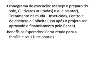 -Cronograma de execução: Manejo e preparo do
  solo, Cultivares utilizadas( o que plantar),
  Tratamento na muda – Inseticidas, Controle
  de doenças e Colheita (isso após o projeto ser
  aprovado o financiamento pelo Banco)
-Benefícios Esperados: Gerar renda para a
  família e seus funcionários
 