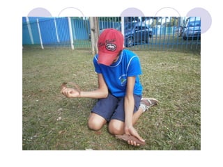 Atividade 01 projeto tosco