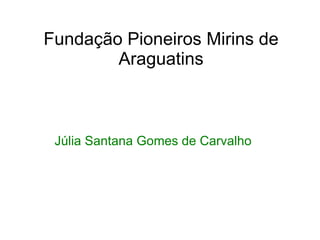 Fundação Pioneiros Mirins de Araguatins Júlia Santana Gomes de Carvalho 