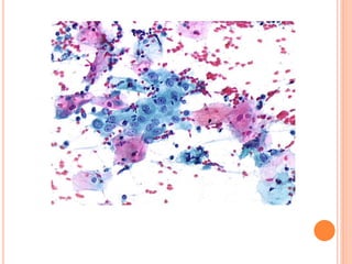 Atividade de IMAGENS