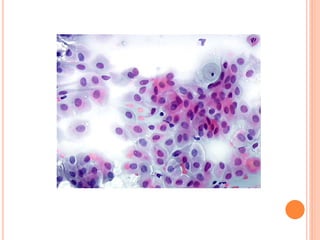 Atividade de IMAGENS