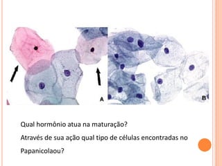 Qual hormônio atua na maturação?
Através de sua ação qual tipo de células encontradas no
Papanicolaou?
 