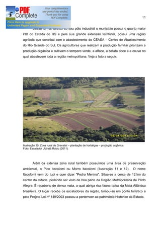 11


       Dessa forma, devido ao seu pólo industrial o município possui o quarto maior
PIB do Estado do RS e pela sua grande extensão territorial, possui uma região
agrícola que contribui com o abastecimento do CEASA                  Centro de Abastecimento
do Rio Grande do Sul. Os agricultores que realizam a produção familiar priorizam a
produção orgânica e cultivam o tempero verde, a alface, a batata doce e a couve no
qual abastecem toda a região metropolitana. Veja a foto a seguir:




Ilustração 10: Zona rural de Gravataí plantação de hortaliças   produção orgânica.
Foto: Escalador Ubiratã Rubio (2011).




       Além da extensa zona rural também possuímos uma área de preservação
ambiental, o Pico Itacolomi ou Morro Itacolomi (Ilustração 11 e 12).                 O nome
Itacolomi vem do tupi e quer dizer "Pedra Menina". Situa-se a cerca de 12 km do
centro da cidade, podendo ser visto de boa parte da Região Metropolitana de Porto
Alegre. É recoberto de densa mata, a qual abriga rica fauna típica da Mata Atlântica
brasileira. O lugar recebe os escaladores da região, tornou-se um ponto turístico e
pelo Projeto-Lei nº 149/2003 passou a perterncer ao patrimônio Histórico do Estado.
 